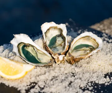 Bar à huîtres et fruit de mer