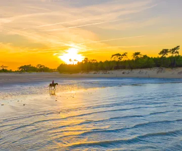 Plage de Gatseau, île d'Oléron