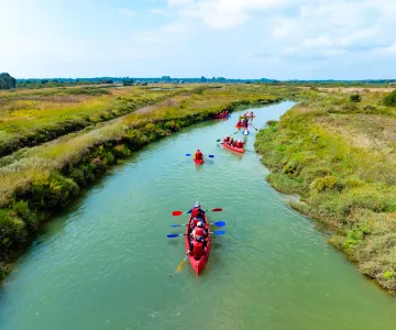Kayak de mer et marais