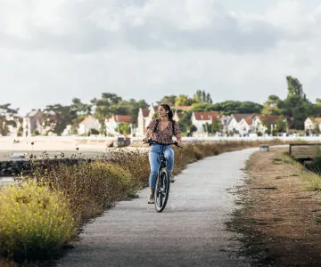 Location de vélos