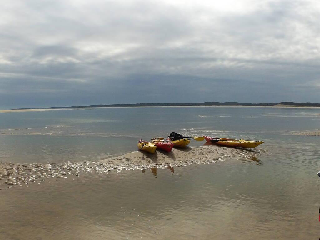 Island Kayak Oléron Kayak de mer et marais