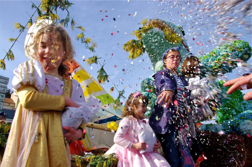 Fête du mimosa 2025 Manifestations
