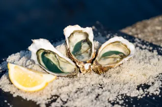Bar à huîtres et fruit de mer