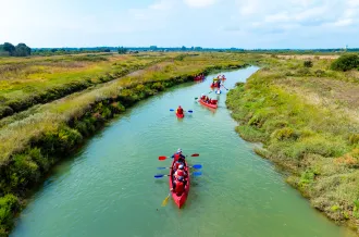Kayak de mer et marais
