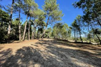 Saint-Trojan-les-Bains