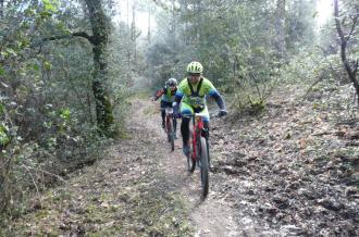 parcours vtt en forêt