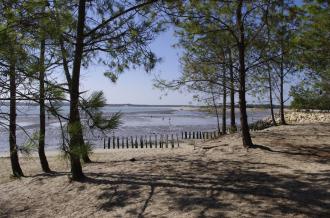 Sortie de sensibilisation à la biodiversité de l'Estran