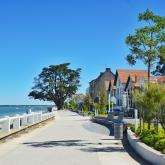 Crédit : Ile d'Oléron Marennes Tourisme