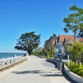 Crédit : Ile d'Oléron Marennes Tourisme