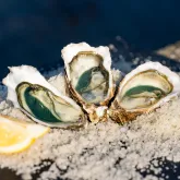 Bar à huîtres et fruit de mer