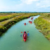 Kayak de mer et marais