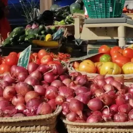 Fête de l'oignon & marché gourmand_Saint-Trojan-les-Bains