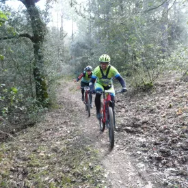 Randonnée des Mimosas