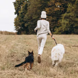 La Crocôtière #4 La Crocôtière #4_Saint-Trojan-les-Bains