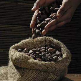 Exposition - Passion chocolat_Saint-Trojan-les-Bains