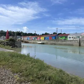 Marché artisanal du Mimosa_Saint-Trojan-les-Bains