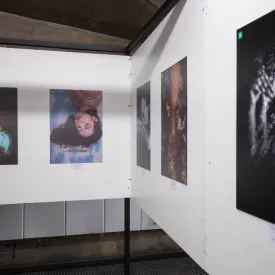 Exposition photos - Thème  "La gentillesse"_Saint-Trojan-les-Bains