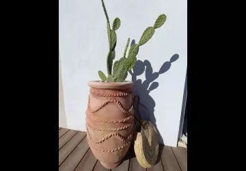 Villa clair de dune_Saint-Georges-d'Oléron