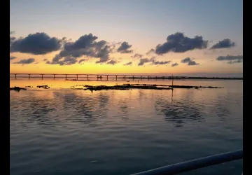 Huîtres Videau_Saint-Trojan-les-Bains