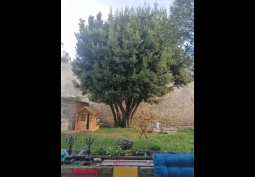 rez de chaussée et jardin