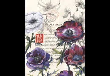 Exposition de peinture naturaliste Pierre-Yves Bonnot_Saint-Trojan-les-Bains