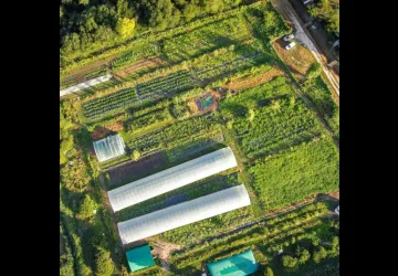 APO Atelier Protégé d'Oléron_Saint-Trojan-les-Bains