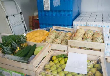 APO Atelier Protégé d'Oléron_Saint-Trojan-les-Bains