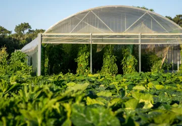 Visite et atelier au jardin de l'APO_Saint-Trojan-les-Bains