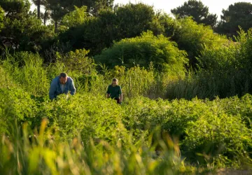 Visite et atelier au jardin de l'APO_Saint-Trojan-les-Bains