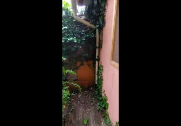 CK'C Multi Services_Saint-Trojan-les-Bains